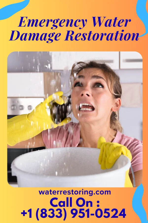 Emergency Water Damage Restoration in Ponderosa Pine, NM